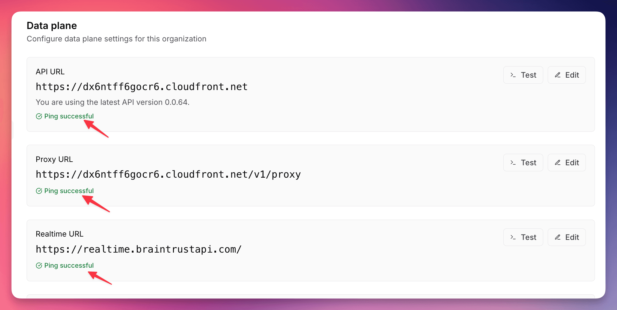 Verify Successful Ping